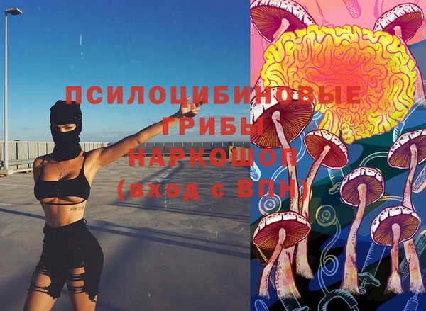 гашик Алексеевка