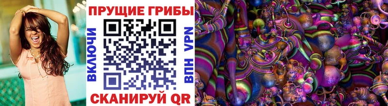 Псилоцибиновые грибы мухоморы  купить наркотики цена  Енисейск 